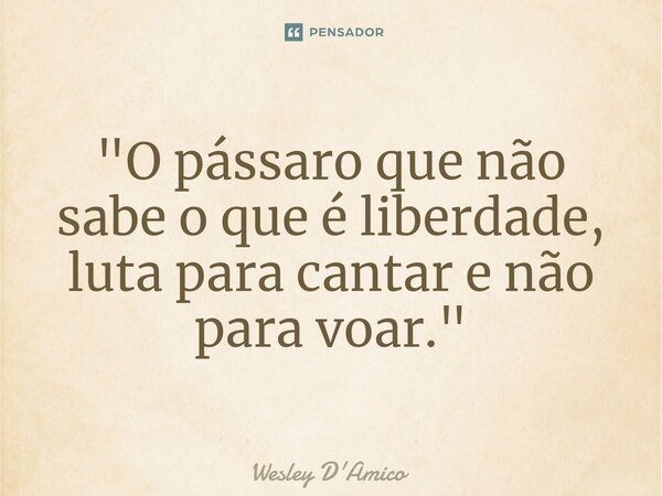⁠"O pássaro que não sabe o que é liberdade, luta para cantar e não para voar."... Frase de Wesley D'Amico.