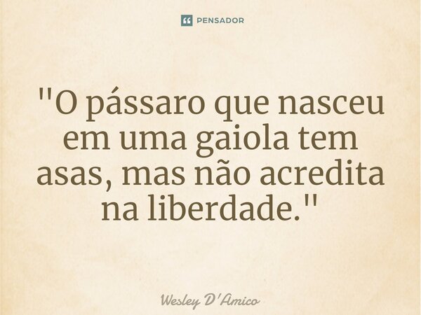 ⁠"O pássaro que nasceu em uma gaiola tem asas, mas não acredita na liberdade."... Frase de Wesley D'Amico.