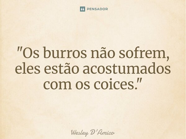 ⁠"Os burros não sofrem, eles estão acostumados com os coices."... Frase de Wesley D'Amico.