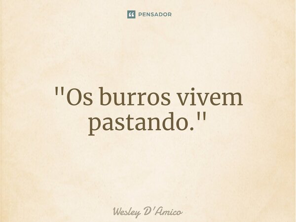 ⁠"Os burros vivem pastando."... Frase de Wesley D'Amico.