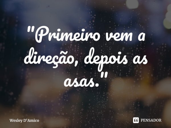 ⁠"Primeiro vem a direção, depois as asas."... Frase de Wesley D'Amico.