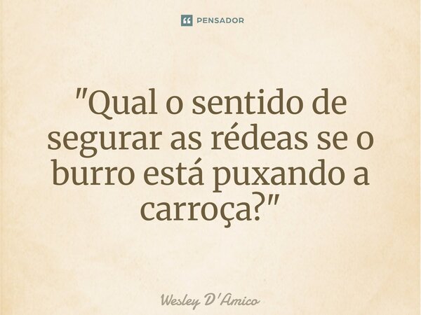 "Qual o sentido de segurar as rédeas se o burro está puxando a carroça?"... Frase de Wesley D'Amico.