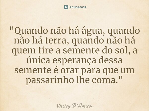 ⁠"Quando não há água, quando não há terra, quando não há quem tire a semente do sol, a única esperança dessa semente é orar para que um passarinho lhe coma... Frase de Wesley D'Amico.