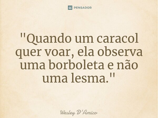 ⁠"Quando um caracol quer voar, ela observa uma borboleta e não uma lesma."... Frase de Wesley D'Amico.