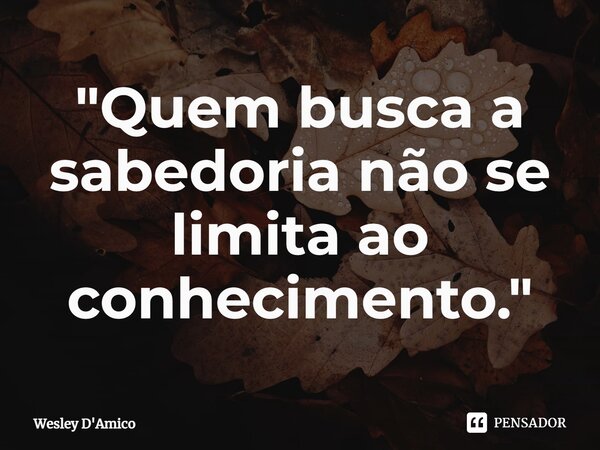 ⁠"Quem busca a sabedoria não se limita ao conhecimento."... Frase de Wesley D'Amico.