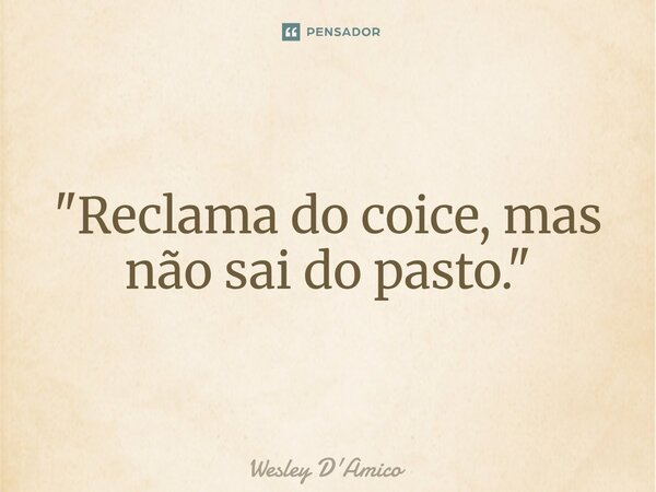 ⁠"Reclama do coice, mas não sai do pasto."... Frase de Wesley D'Amico.