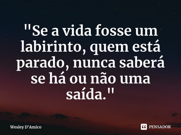 ⁠"Se a vida fosse um labirinto, quem está parado, nunca saberá se há ou não uma saída."... Frase de Wesley D'Amico.