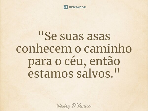 ⁠"Se suas asas conhecem o caminho para o céu, então estamos salvos."... Frase de Wesley D'Amico.