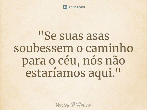 ⁠"Se suas asas soubessem o caminho para o céu, nós não estaríamos aqui."... Frase de Wesley D'Amico.
