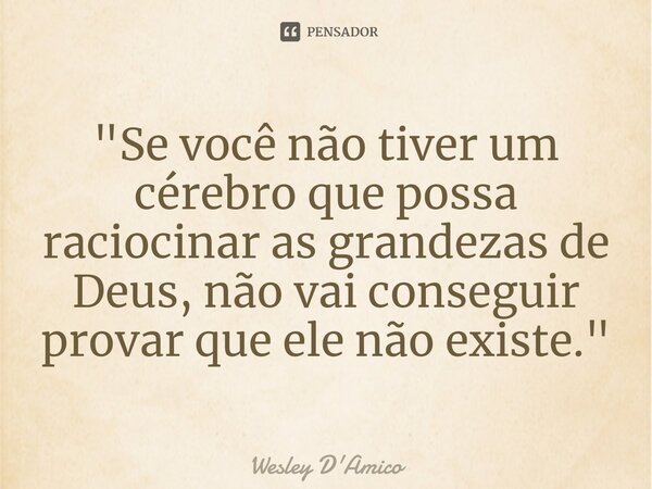 "Se você não tiver um cérebro que possa raciocinar as grandezas de Deus, não vai conseguir provar que ele não existe."... Frase de Wesley D'Amico.