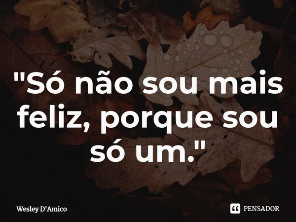 ⁠"Só não sou mais feliz, porque sou só um."... Frase de Wesley D'Amico.