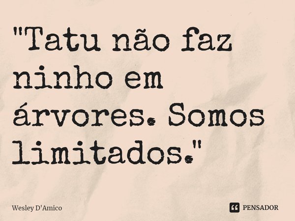 ⁠"Tatu não faz ninho em árvores. Somos limitados."... Frase de Wesley D'Amico.