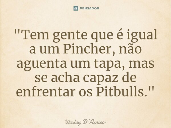 ⁠"Tem gente que é igual a um Pincher, não aguenta um tapa, mas se acha capaz de enfrentar os Pitbulls."... Frase de Wesley D'Amico.