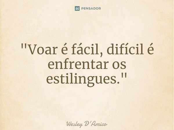 ⁠"Voar é fácil, difícil é enfrentar os estilingues."... Frase de Wesley D'Amico.