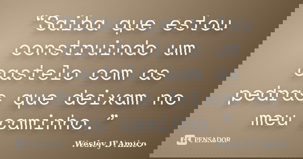 “Saiba que estou construindo um castelo com as pedras que deixam no meu caminho.”... Frase de Wesley D'Amico.