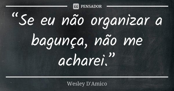 “Se eu não organizar a bagunça, não me acharei.”... Frase de Wesley D'Amico.