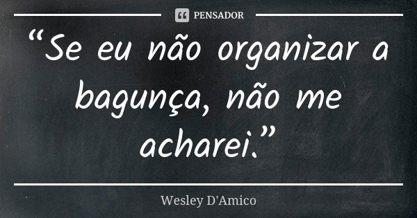 “Se eu não organizar a bagunça, não me acharei.”... Frase de Wesley D'Amico.