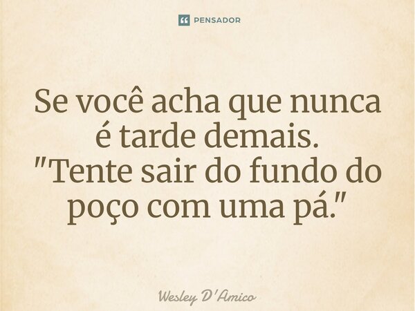 ⁠Se você acha que nunca é tarde demais. "Tente sair do fundo do poço com uma pá."... Frase de Wesley D'Amico.