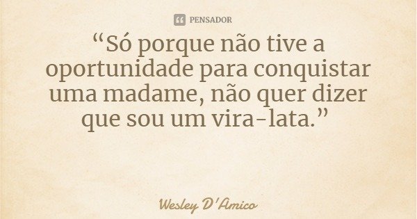 “Só porque não tive a oportunidade para conquistar uma madame, não quer dizer que sou um vira-lata.”... Frase de Wesley D'Amico.