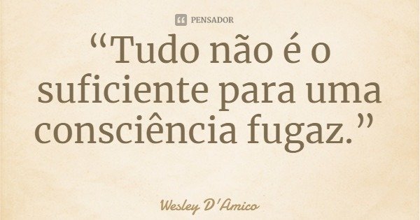 “Tudo não é o suficiente para uma consciência fugaz.”... Frase de Wesley D'Amico.