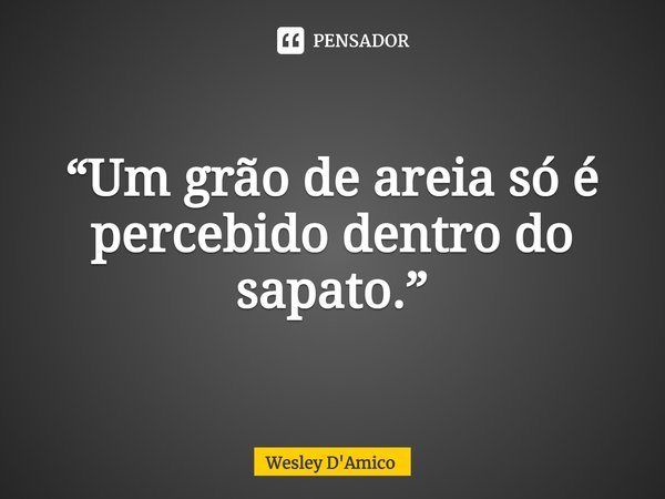 ⁠“Um grão de areia só é percebido dentro do sapato.”... Frase de Wesley D'Amico.