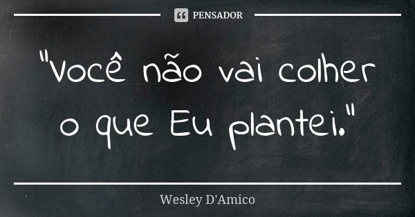 “Você não vai colher o que Eu plantei.”... Frase de Wesley D'Amico.