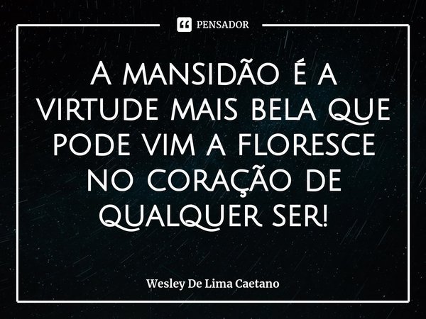 ⁠A mansidão é a virtude mais bela que pode vim a floresce no coração de qualquer ser!... Frase de Wesley De Lima Caetano.