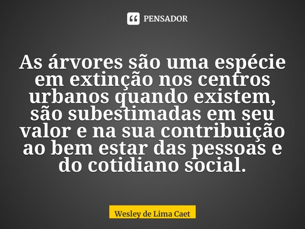 ⁠As árvores são uma espécie em extinção nos centros urbanos quando existem, são subestimadas em seu valor e na sua contribuição ao bem estar das pessoas e do co... Frase de Wesley de Lima Caetano.
