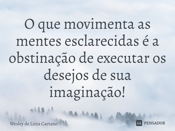 ⁠O que movimenta as mentes esclarecidas é a obstinação de executar os desejos de sua imaginação!... Frase de Wesley De Lima Caetano.