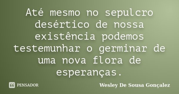 Até mesmo no sepulcro desértico de nossa existência podemos testemunhar o germinar de uma nova flora de esperanças.... Frase de Wesley De Sousa Gonçalez.