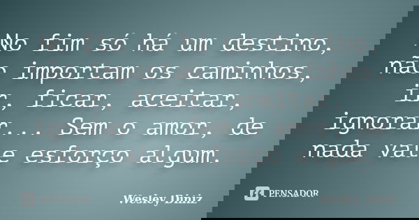 No fim só há um destino, não importam os caminhos, ir, ficar, aceitar, ignorar... Sem o amor, de nada vale esforço algum.... Frase de Wesley Diniz.