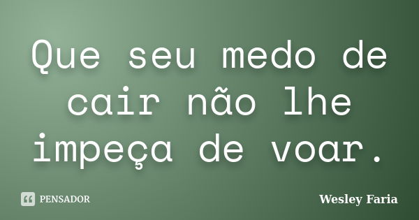 Que seu medo de cair não lhe impeça de voar.... Frase de Wesley Faria.