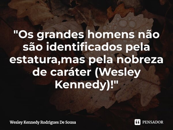 ⁠"Os grandes homens não são identificados pela estatura,mas pela nobreza de caráter (Wesley Kennedy)!"... Frase de Wesley Kennedy Rodrigues De Sousa.