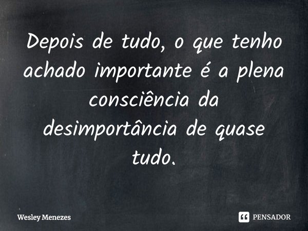 Depois de tudo, o que tenho achado importante é a plena consciência da desimportância de quase tudo.⁠... Frase de Wesley Menezes.