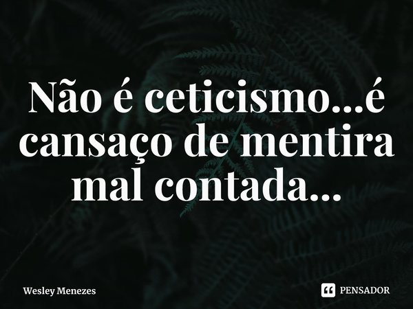 ⁠Não é ceticismo...é cansaço de mentira mal contada...... Frase de Wesley Menezes.