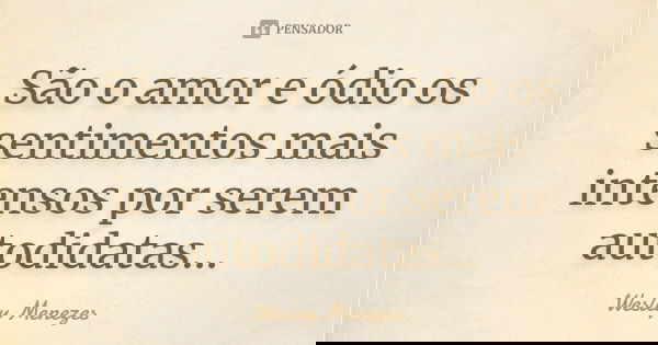 São o amor e ódio os sentimentos mais intensos por serem autodidatas...... Frase de Wesley Menezes.