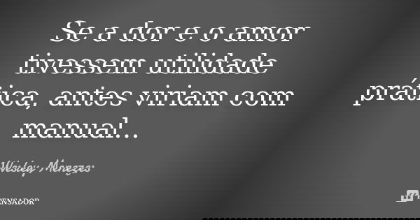 Se a dor e o amor tivessem utilidade prática, antes viriam com manual...... Frase de Wesley Menezes.