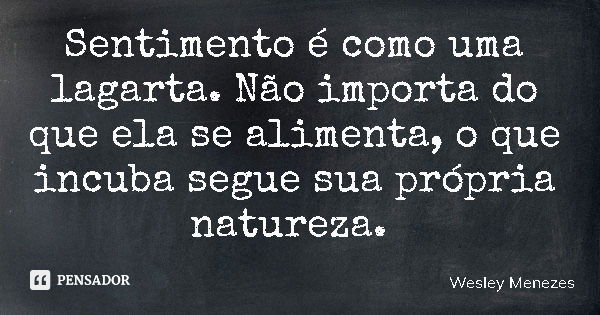 Sentimento é como uma lagarta. Não importa do que ela se alimenta, o que incuba segue sua própria natureza.... Frase de Wesley Menezes.