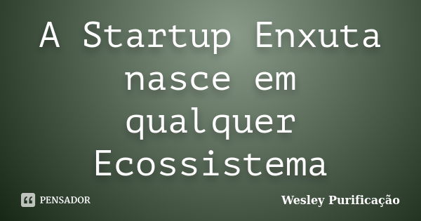 A Startup Enxuta nasce em qualquer Ecossistema... Frase de Wesley Purificação.