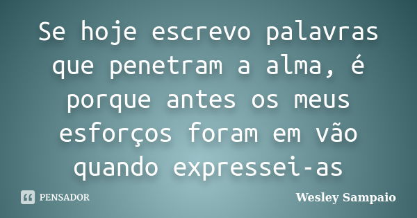 Se hoje escrevo palavras que penetram a alma, é porque antes os meus esforços foram em vão quando expressei-as... Frase de Wesley Sampaio.