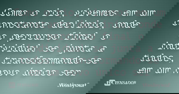 Como o rio, vivemos em um constante declinio, onde o percurso final o individual se junta a todos, transformando-se em um novo único ser... Frase de Wesleywaf.