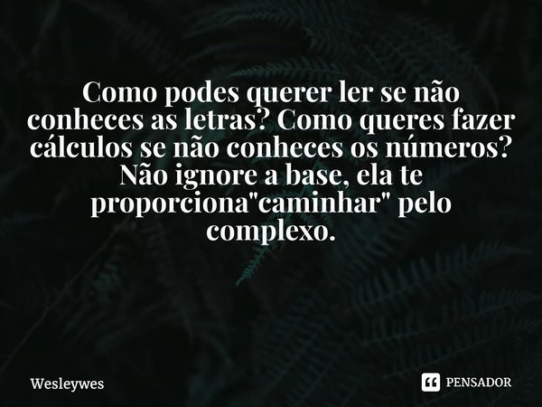 ⁠Como podes querer ler se não conheces as letras? Como queres fazer cálculos se não conheces os números? Não ignore a base, ela te proporciona "caminhar&qu... Frase de WesleyWes.
