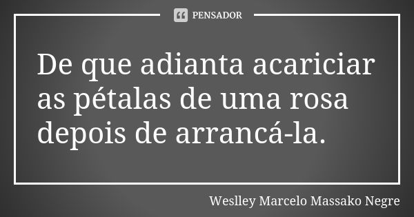 De que adianta acariciar as pétalas de uma rosa depois de arrancá-la.... Frase de Weslley Marcelo Massako Negre.