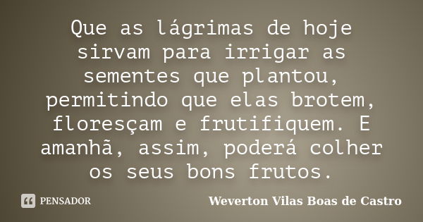 Que as lágrimas de hoje sirvam para irrigar as sementes que plantou, permitindo que elas brotem, floresçam e frutifiquem. E amanhã, assim, poderá colher os seus... Frase de Weverton Vilas Boas de Castro.