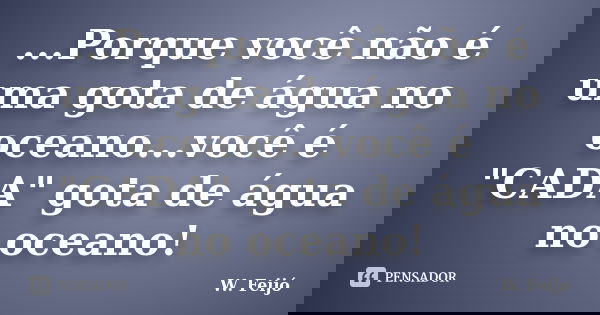 ...Porque você não é uma gota de água no oceano...você é "CADA" gota de água no oceano!... Frase de W. Feijó.