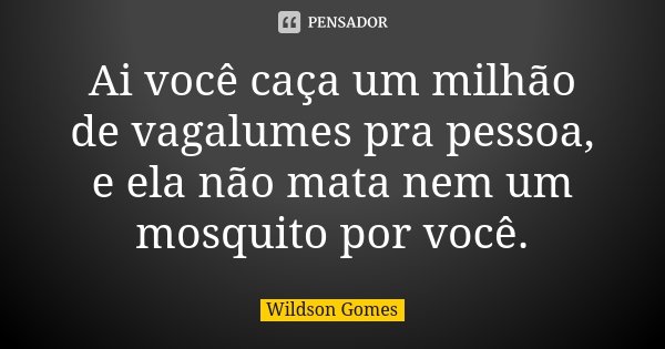 Ai você caça um milhão de vagalumes pra pessoa, e ela não mata nem um mosquito por você.... Frase de Wildson Gomes.