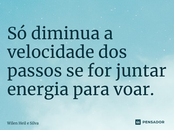 ⁠Só diminua a velocidade dos passos se for juntar energia para voar.... Frase de Wilen Heil e Silva.