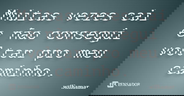Muitas vezes cai e não consegui voltar pro meu caminho.... Frase de Wilhamar.