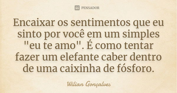 Encaixar os sentimentos que eu sinto por você em um simples "eu te amo". É como tentar fazer um elefante caber dentro de uma caixinha de fósforo.... Frase de Wilian Gonçalves.