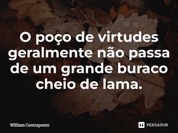 ⁠O poço de virtudes geralmente não passa de um grande buraco cheio de lama.... Frase de William Contraponto.